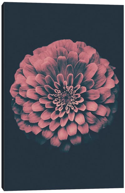 Vintage Flower Canvas Art Print - Wouter Rikken
