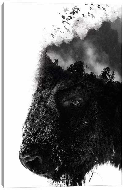 White Bison Canvas Art Print - Double Exposure Photography