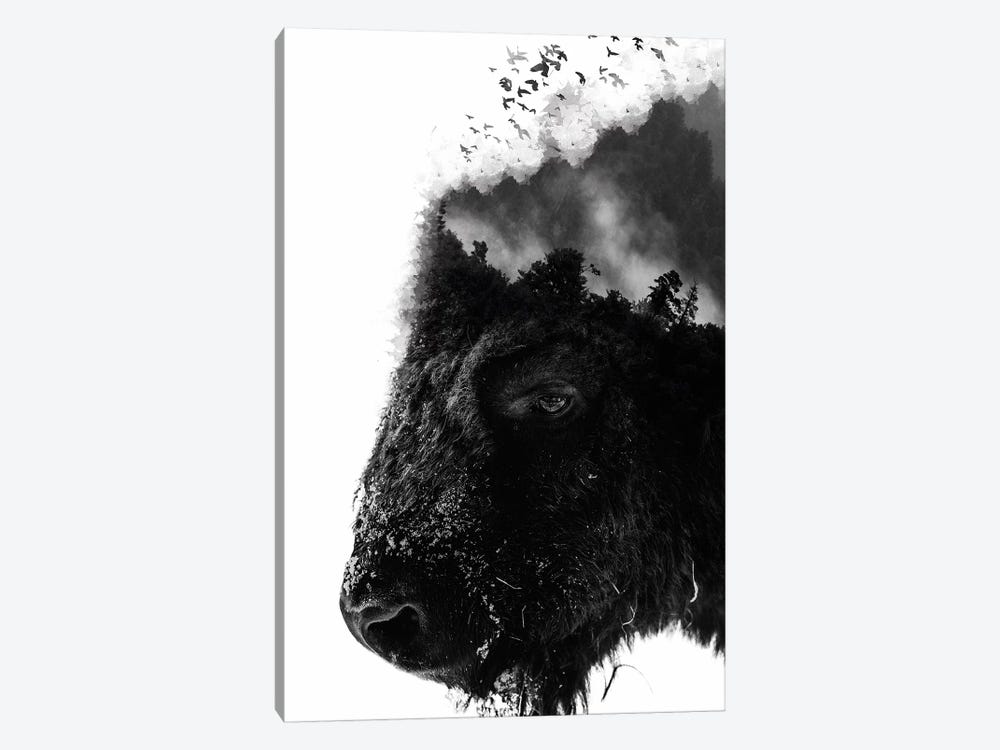 White Bison 1-piece Art Print