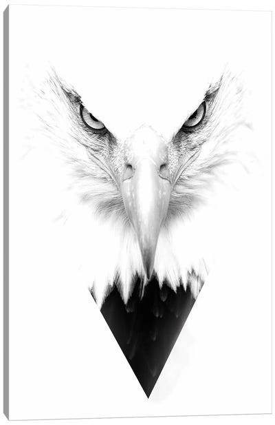 White Eagle Canvas Art Print - Double Exposure Photography
