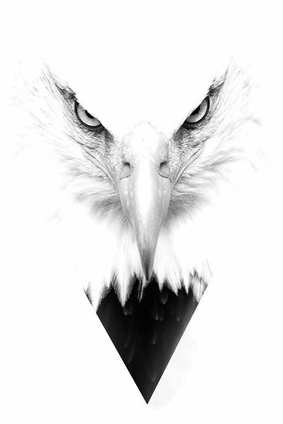 Office: White Eagle by Wouter Rikken