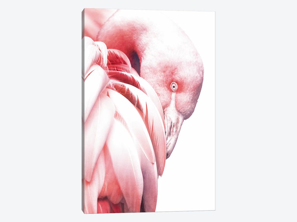 White Flamingo by Wouter Rikken 1-piece Canvas Art
