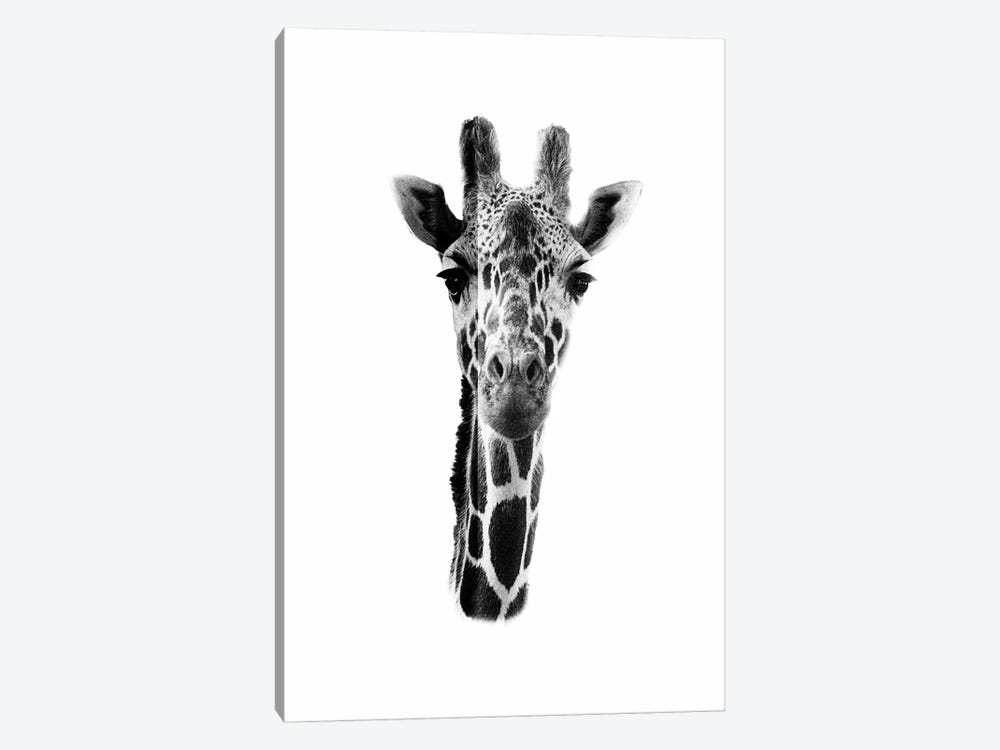 White Giraffe by Wouter Rikken 1-piece Art Print