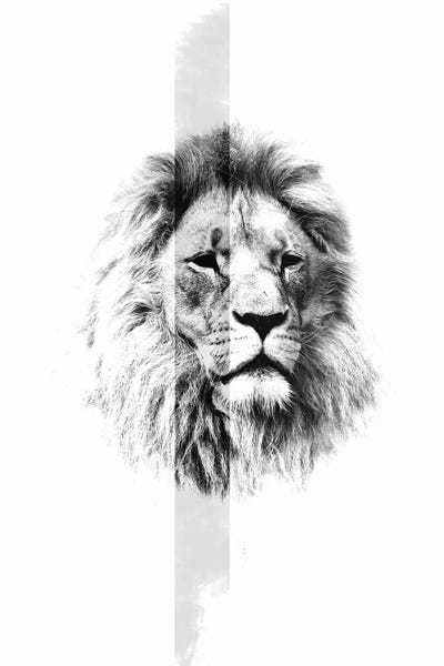 Wouter Rikken: White Lion I by Wouter Rikken