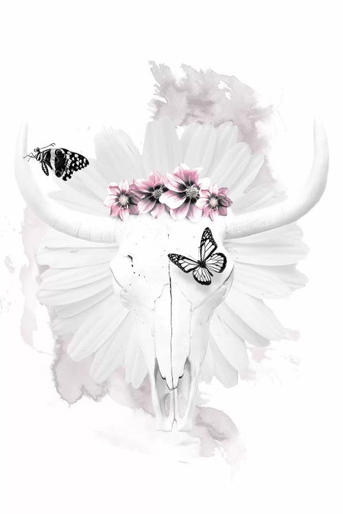 Cow Skull