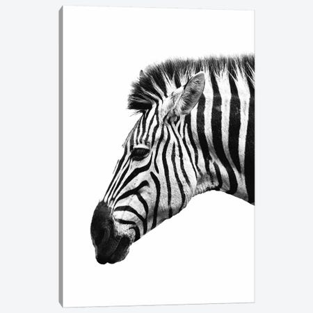 White Zebra Canvas Print #WRI80} by Wouter Rikken Canvas Art
