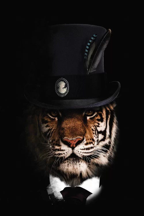 Classy Tiger