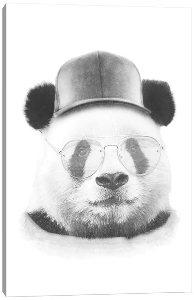 Cool Panda Canvas Art Print - Hipster Art