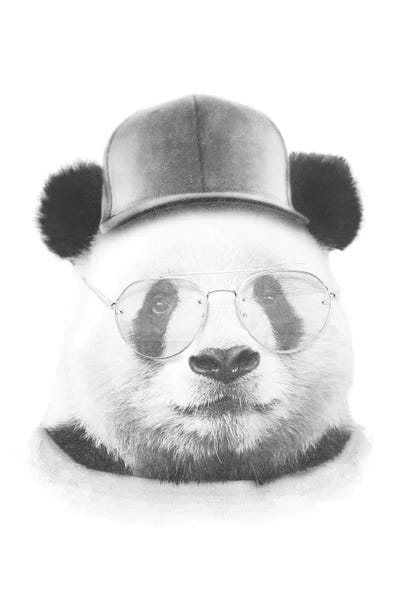 Wouter Rikken: Cool Panda by Wouter Rikken