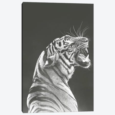 Grey Tiger Canvas Print #WRI86} by Wouter Rikken Art Print