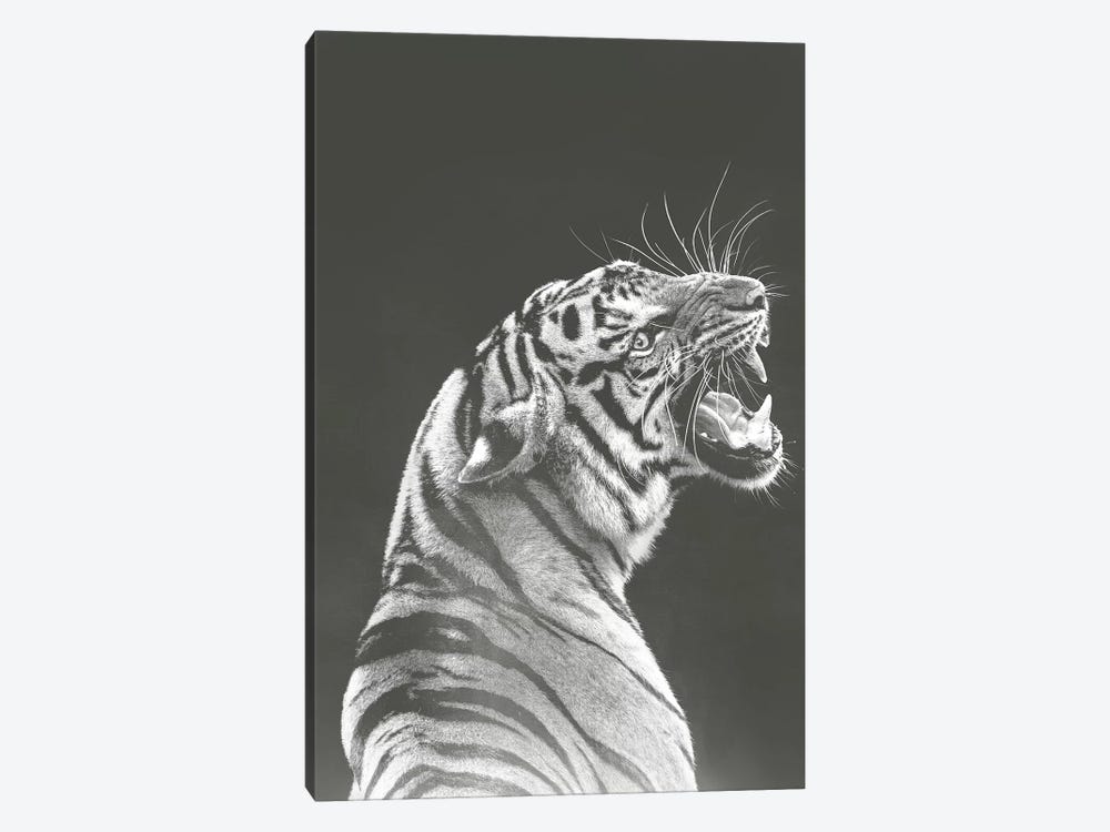 Grey Tiger by Wouter Rikken 1-piece Canvas Art