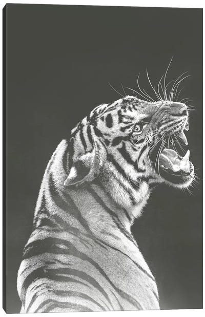 Grey Tiger Canvas Art Print - Wouter Rikken