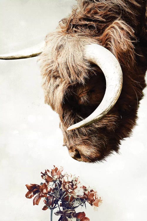 Highlander by Wouter Rikken wall art
