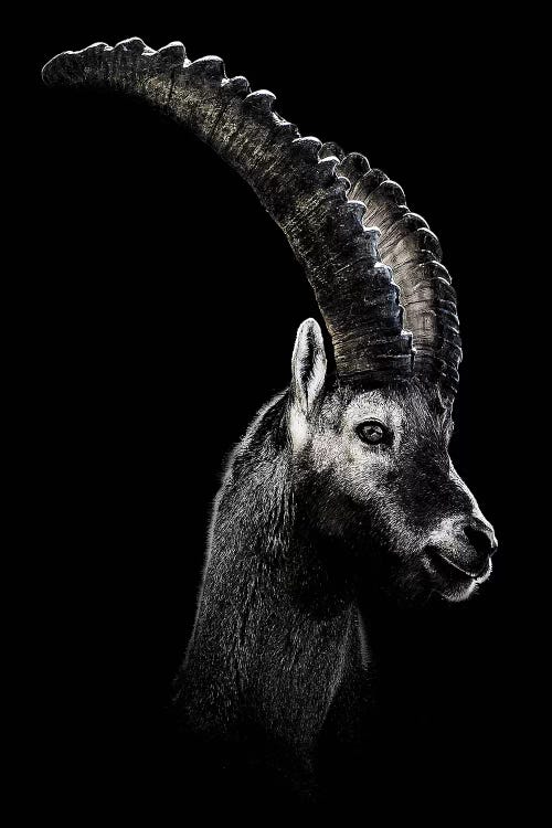 Dark Capricorn by Wouter Rikken wall art