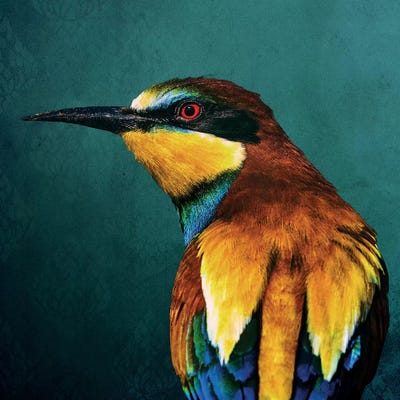 Bee-Eater by Wouter Rikken framed canvas print