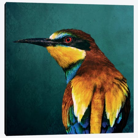 Bee-Eater Canvas Print #WRI90} by Wouter Rikken Canvas Art Print