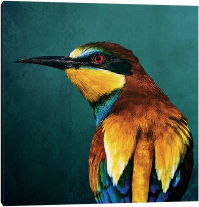 Bee-Eater Canvas Art Print - Wouter Rikken