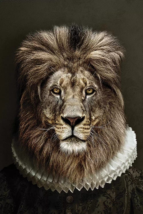 Classy Lion II by Wouter Rikken wall art