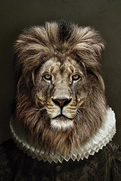 Lions: Classy Lion II by Wouter Rikken