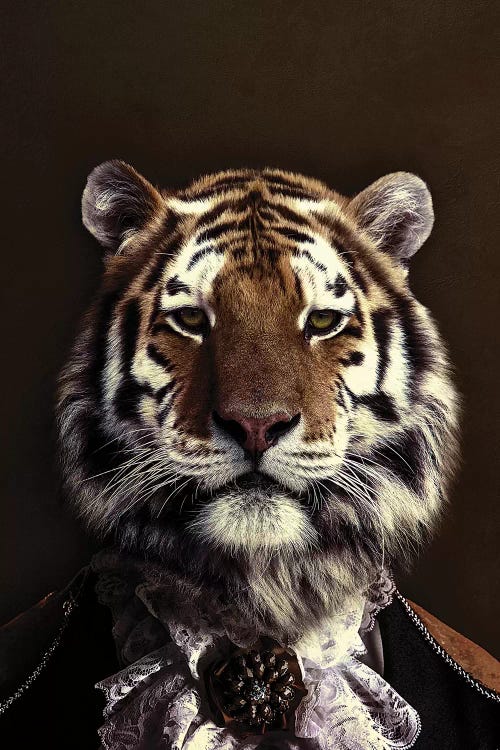 Classy Tiger II by Wouter Rikken wall art