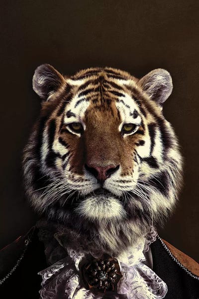 Wouter Rikken: Classy Tiger II by Wouter Rikken