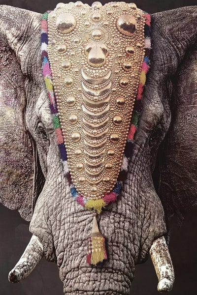 Decorated Elephant by Wouter Rikken canvas print