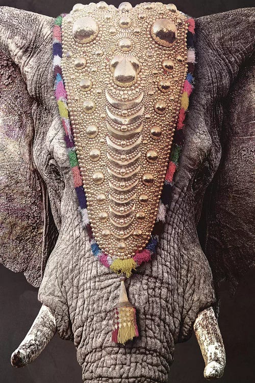 Decorated Elephant
