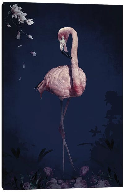 Flamingo Canvas Art Print - Wouter Rikken
