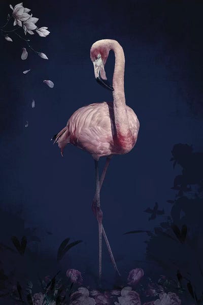 Indigo: Flamingo by Wouter Rikken