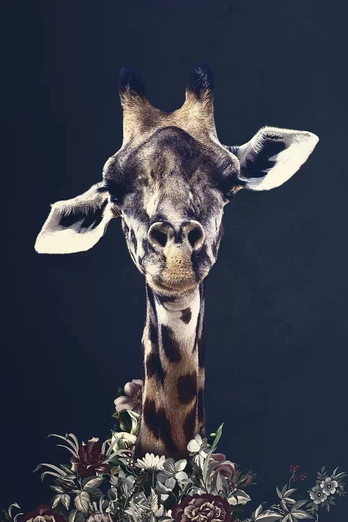 Giraffe by Wouter Rikken wall art