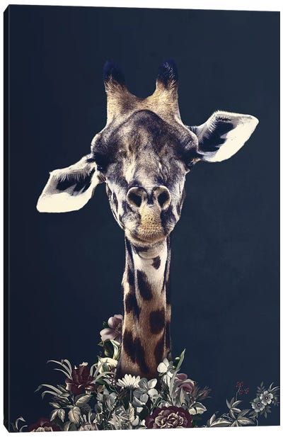 Giraffe Canvas Art Print - Wouter Rikken