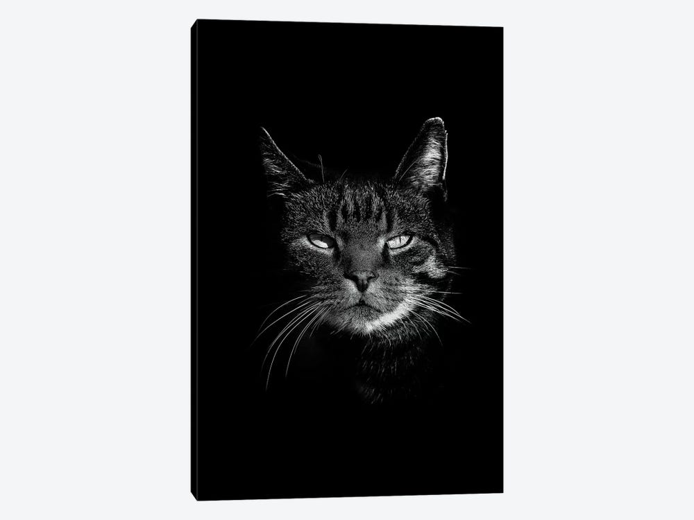 Dark Cat by Wouter Rikken 1-piece Art Print