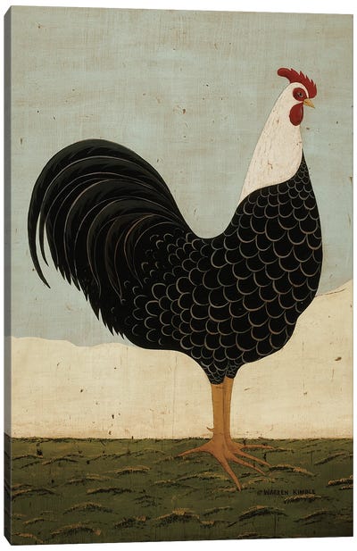 Rooster Facing East Canvas Art Print
