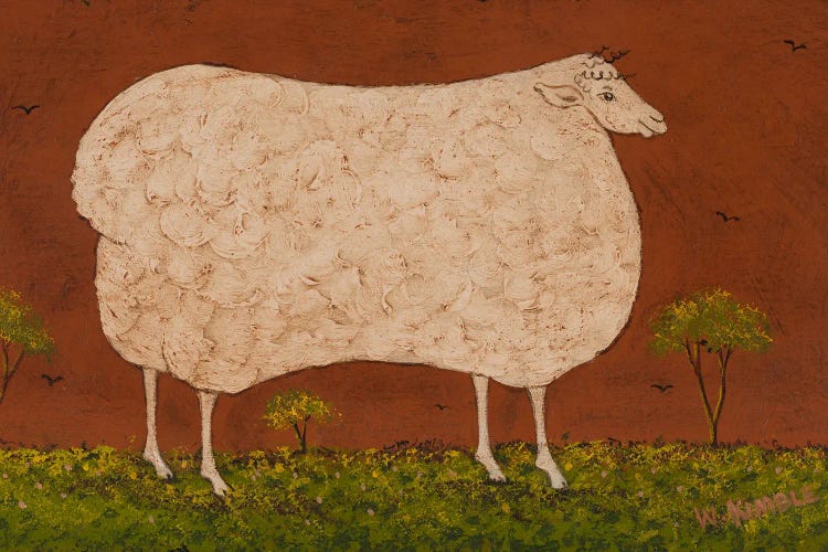 Sheep