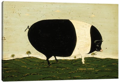 Black And White Pig Canvas Art Print - Pig Art