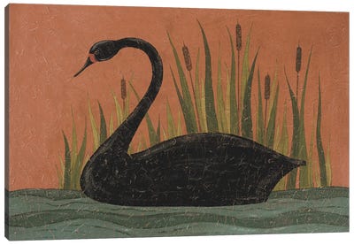 Black Swan Canvas Art Print - Swan Art
