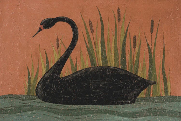 Black Swan