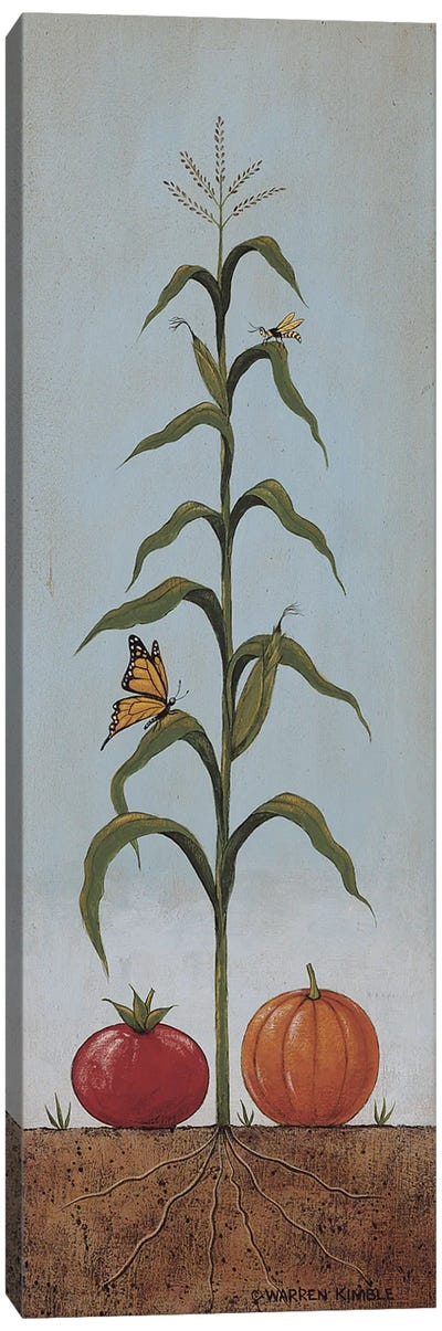 Butterfly Corn Canvas Art Print - Warren Kimble