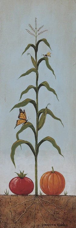 Butterfly Corn