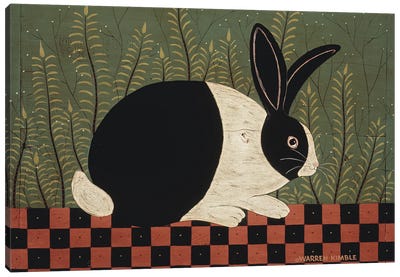 Checkerboard Bunny Canvas Art Print - Warren Kimble