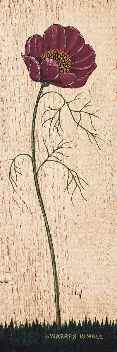 Cosmos by Warren Kimble framed canvas print