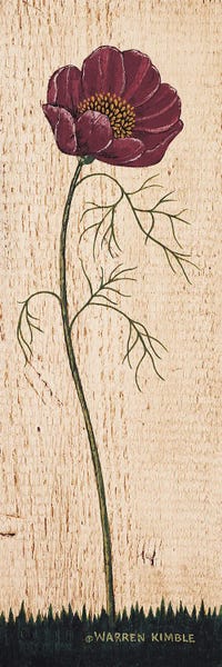 Cosmos: Cosmos by Warren Kimble