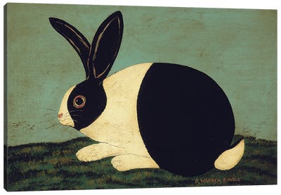Cozy Bunny Canvas Art Print - Warren Kimble