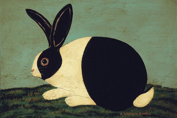 Rabbits: Cozy Bunny by Warren Kimble