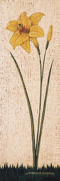 Lilies: Day Lily by Warren Kimble