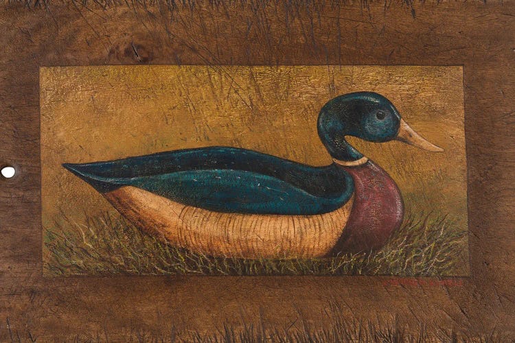Duck