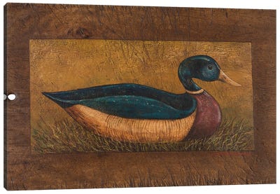 Duck Canvas Art Print