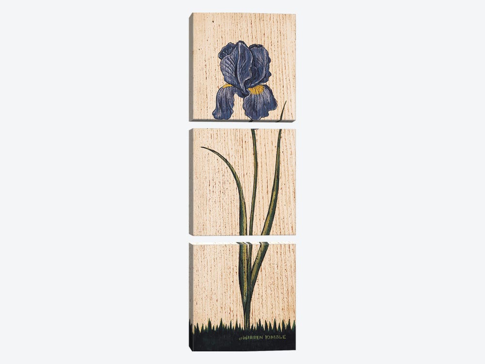 Iris by Warren Kimble 3-piece Canvas Wall Art