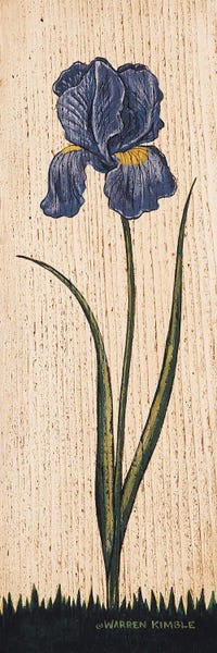 Irises: Iris by Warren Kimble