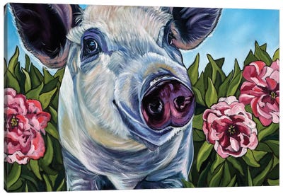 Pigs and Peonies Canvas Art Print - Pig Art